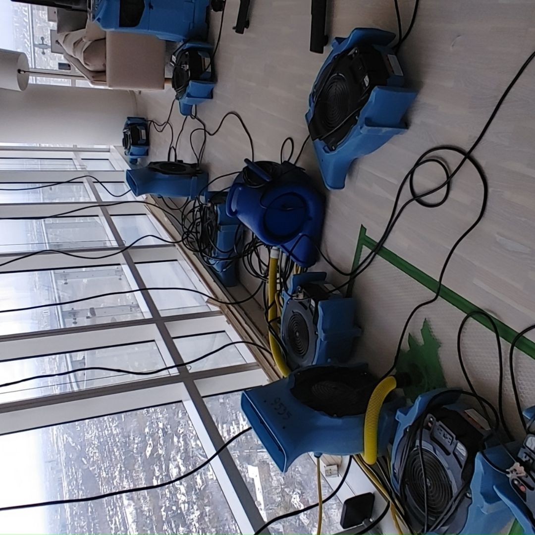 xr:d:DAFjN4EtIs8:3,j:4925979501,t:23051723