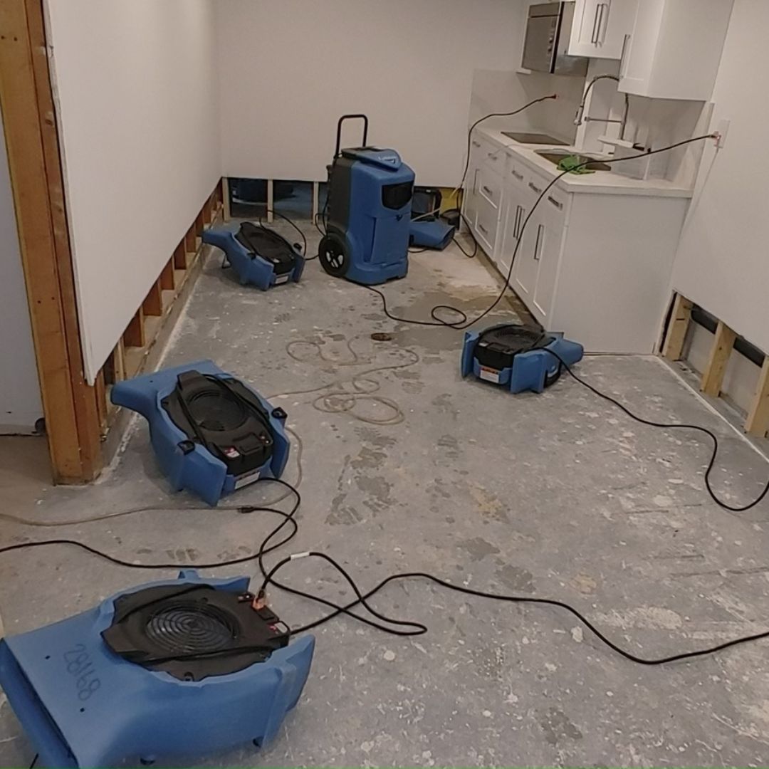 xr:d:DAFjN4EtIs8:3,j:4925979501,t:23051723